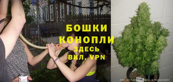 не бодяженный Каменск-Шахтинский