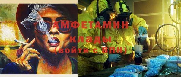 mdpv Каменногорск