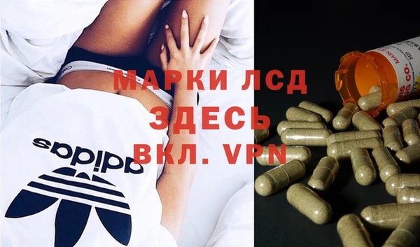 mdpv Каменногорск