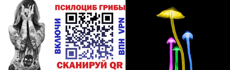Псилоцибиновые грибы мицелий  Купить  Грязовец 